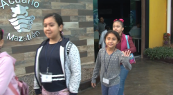 Se reanuda viernes de guardianes en Acuario