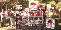 Mazatlecos marchan en contra de corridas de toros