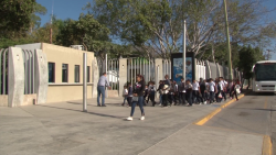 Visitan niños de primaria de zona rural el Acuario Mazatlán