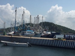 Colapsada la pesca en México: Unión Armadores