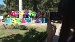 Llegan al Acuario dos mil visitantes diarios  en fin de semana