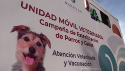 Regresa a operaciones la unidad canina de esterilización en Mazatlán