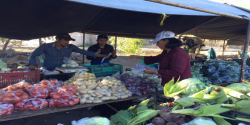 Informan sobre la violencia en los tianguis