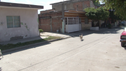 Podrán regularizar terrenos y escrituración en Mazatlán