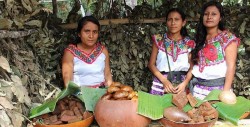 #DíaDeLaLenguaMaterna Lengua, idioma, habla y dialecto: cuáles son las diferencias