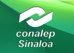 Necesaria la formación de profesionales técnicos: CONALEP