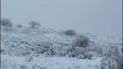 Seguirán manteniéndose bajas las temperaturas en la región y nevadas en el país: Meteorológico