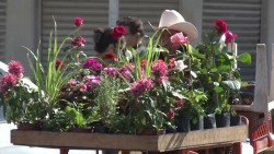 A sus 68 años mantiene vivo un 'romance' con la naturaleza