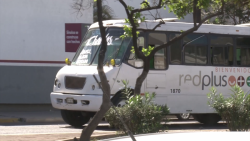 Necesarias nuevas rutas de camiones urbanos en Mazatlán: Vialidad