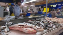 Esperan buenas ventas en esta cuaresma