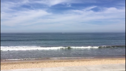 Encuentran cuerpo sin vida flotando en playa norte