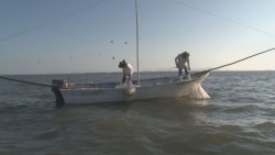 Listo el programa de empleo temporal para pescadores en Sinaloa