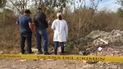 Embolsado encuentran un cuerpo en Musala
