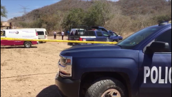 No están identificadas osamentas encontradas: Vicefiscal