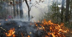 Desalojados 2.000 habitantes por incendio forestal en el oriente de México