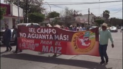 Algunos líderes agrícolas están adelantando escenarios catastróficos: Graciela Dominguez