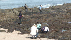 Tercer maratón fotográfico de biodiversidad en Mazatlán