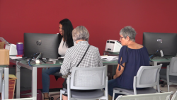 Recaudación de rentas trabajó en día de asueto