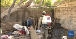 Marcado descenso en los casos de dengue en Sonora