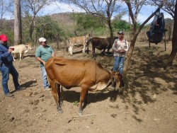 Asociaciones ganaderas del Sur del Estado participan en conservación de cuencas: CONSELVA