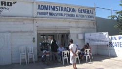 Mujeres de la pesca serán apoyadas en Mazatlán