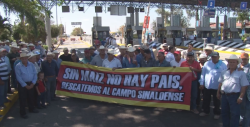 Alistan nueva manifestación de productores ante la nula respuesta de la SADER a las demandas de los maiceros