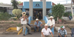 Ineficientes funcionarios del gabinete de SADER , asegura la coordinación nacional Plan de Ayala