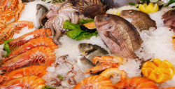 Consuma pescados y mariscos frescos para evitar riesgos