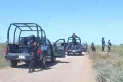 Cae avioneta a siembra de maíz