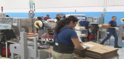 Apoyos para mujeres emprendedoras