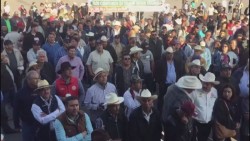Satisface a 15 organizaciones agrícolas precio por tonelada de maíz
