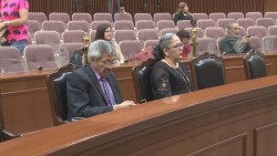 El PRI por desconocimiento critica agenda legislativa de MORENA: Graciela Dominguez