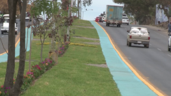 Remodelación concluida en camellón central de Urías
