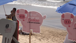 Inició campaña de Semana Santa “Yo no soy cochino, y me llevo mi basura”