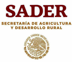SADER pide a turistas no introducir al país alimentos prohibidos