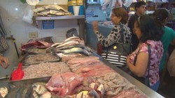 La venta desleal golpea a los marisqueros del Garmendia