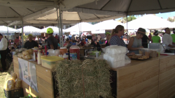 Inauguran Feria de Productos Regionales en Mazatlán