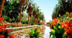 ¿Qué hacer en Semana Santa en Culiacán?