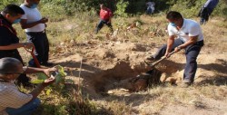 Autoridades hallan 36 fosas clandestinas en Veracruz