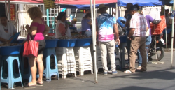 “Repuntan turistas, pero no las ventas”: Camaroneras