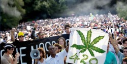 ¿Por qué se celebra el Día Internacional de la Marihuana