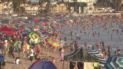 Las playas de Sinaloa son confiables: COEPRISS