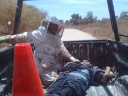 Auxilian a dos personas tras picaduras  de abeja