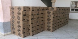 Apoyo a Familias desplazadas en El Rosario