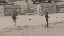 Peleará Mazatlán por ser la 'ciudad más verde' de todo Latinoamérica