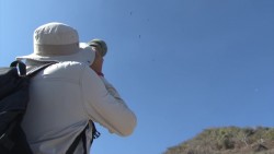 Arranca Mazatlán su participación en reto mundial naturalista
