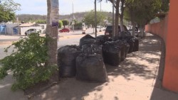 ¨Persiste el problema de recolección de basura