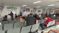 Martes último día para pagar la calcomanía vehicular 2019