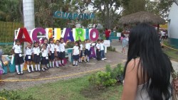 Acuario gratis para los niños y niñas este fin de semana en Mazatlán