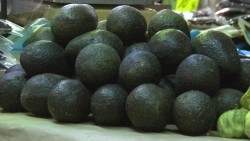Un lujo, comer aguacate en Mazatlán